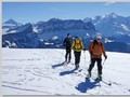 16.03.2013 : Sur le chemin de la Pointe du Château ...
