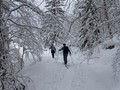  22.02.2015 : Départ versant Valserine du lieu-dit "La Rivière"...