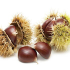 BRISOLÉE À LA BARILLETTE